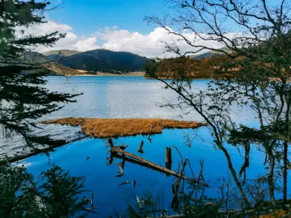 77spins Casino Farsímaforrit